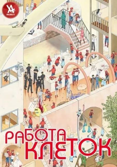 Работа клеток