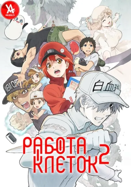 Работа клеток 2